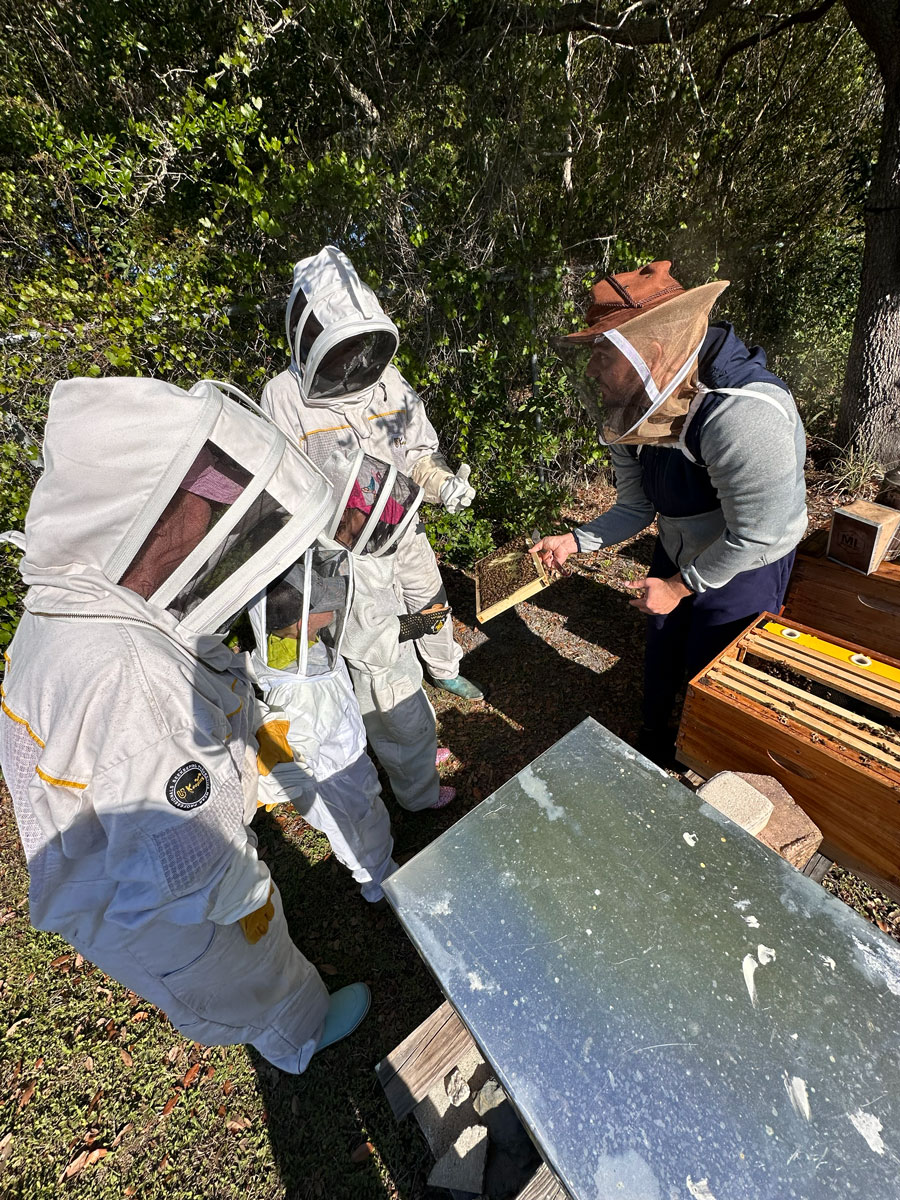 Beekeeper for a Day The Best Beekeeping Experience in Tampa Bay (11)
