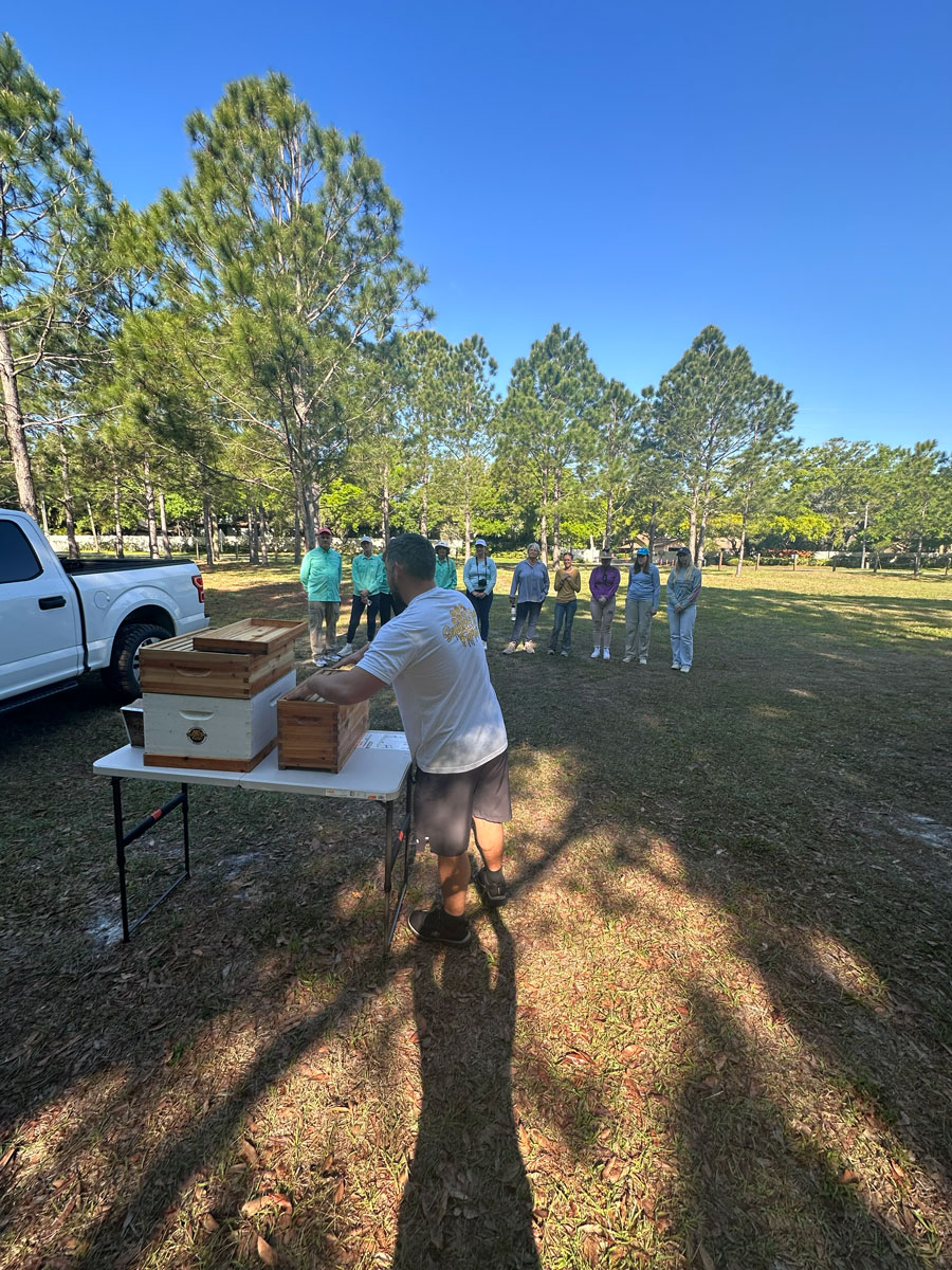 Beekeeper for a Day The Best Beekeeping Experience in Tampa Bay (13)