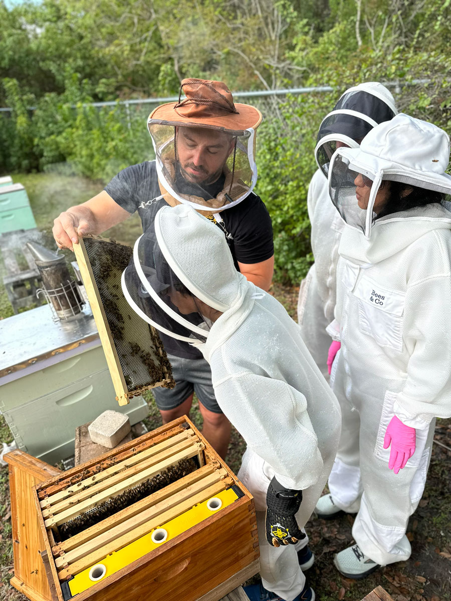 Beekeeper for a Day The Best Beekeeping Experience in Tampa Bay (2)
