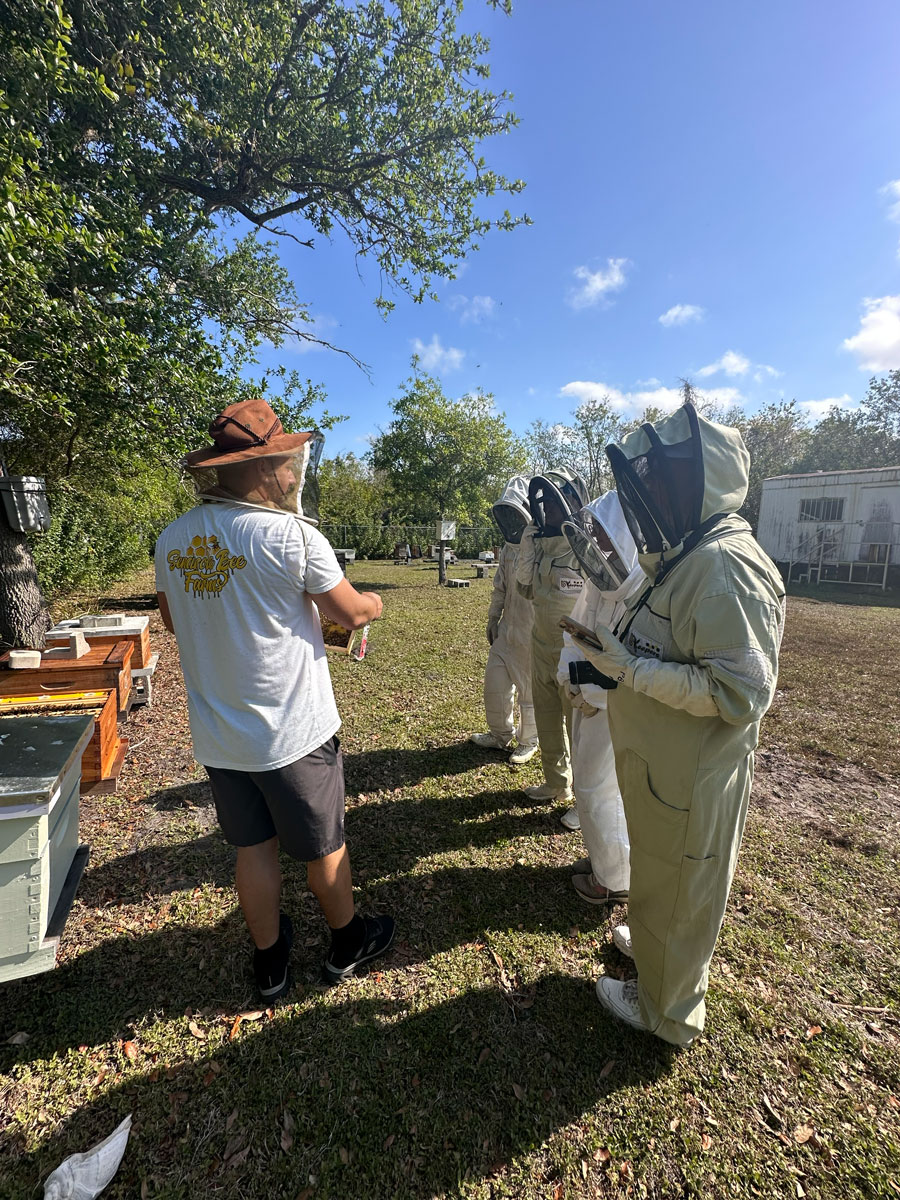 Beekeeper for a Day The Best Beekeeping Experience in Tampa Bay (5)