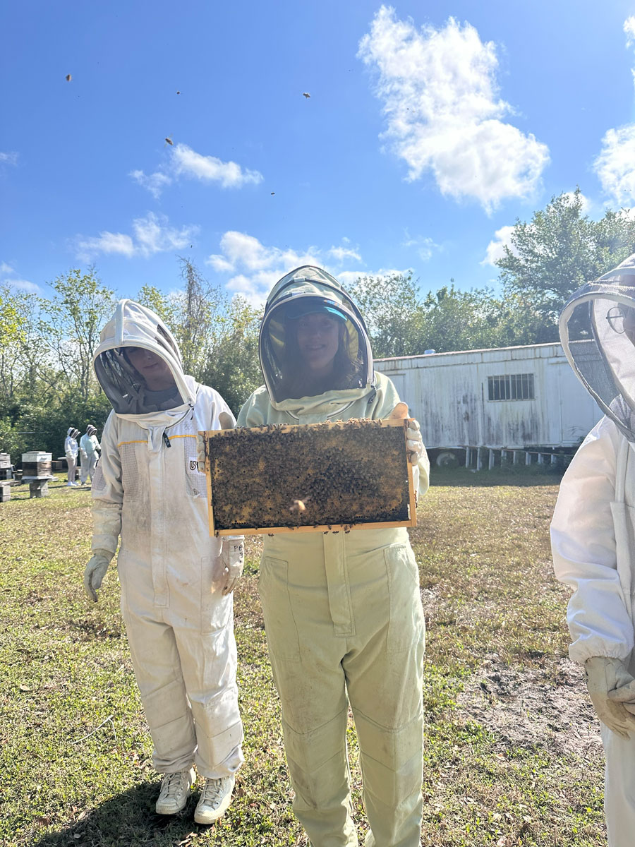 Beekeeper for a Day The Best Beekeeping Experience in Tampa Bay (6)
