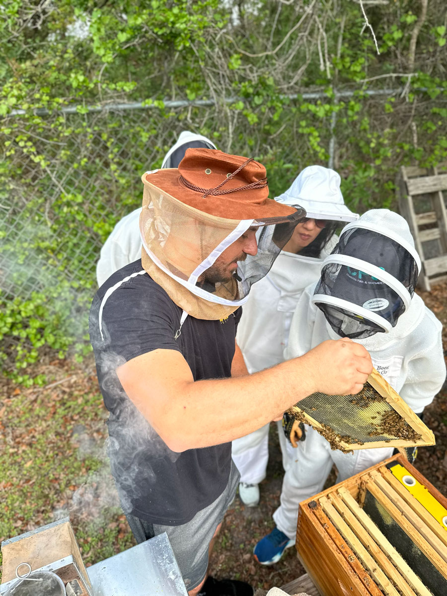 Beekeeper for a Day The Best Beekeeping Experience in Tampa Bay